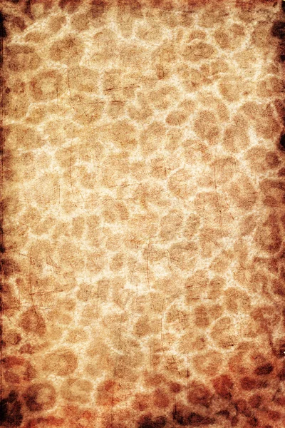 Гигантская леопардовая текстура — стоковое фото