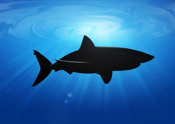 Köpekbalığı siluet — Stok fotoğraf