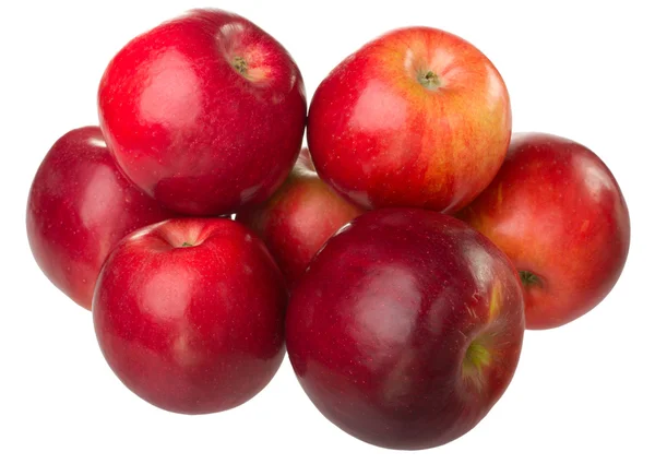 Red apples Stock Image