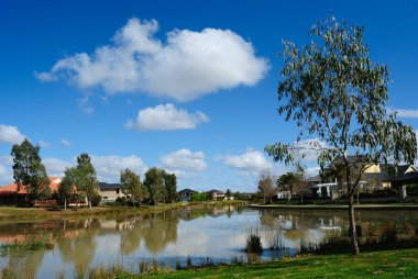 Houses by the pond clipart