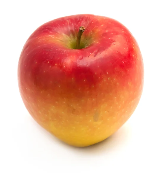 Sarı-Kırmızı elma — Stok fotoğraf