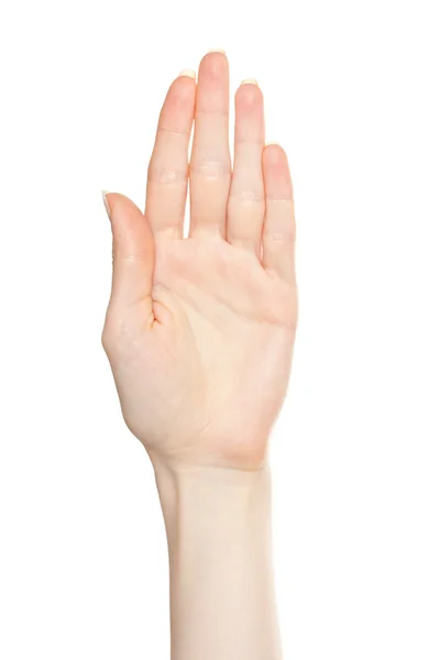 Woman open palm — Stock Photo, Image
