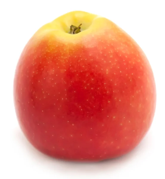 Apple bottom — Stock Photo, Image