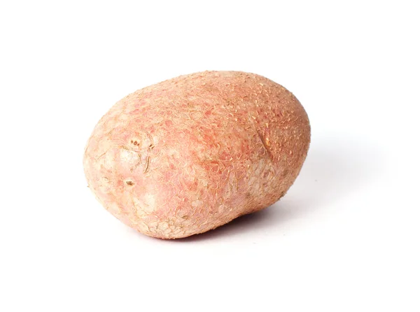 Один червоний картопляний — стокове фото
