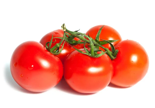 Rama de tomate cereza —  Fotos de Stock