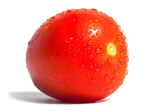 Su damlaları ile tek domates — Stok fotoğraf