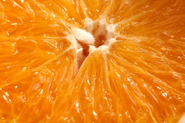 Macro arancione — Foto Stock