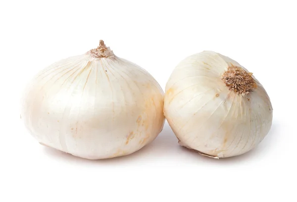 Dos cebollas blancas aisladas — Foto de Stock