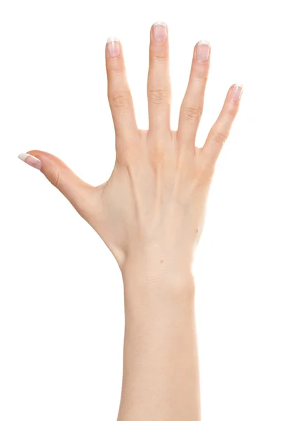 Woman hand number five — Stock Photo, Image