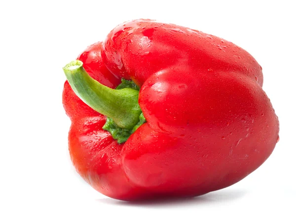 Färsk röd paprika på vit bakgrund — Stockfoto