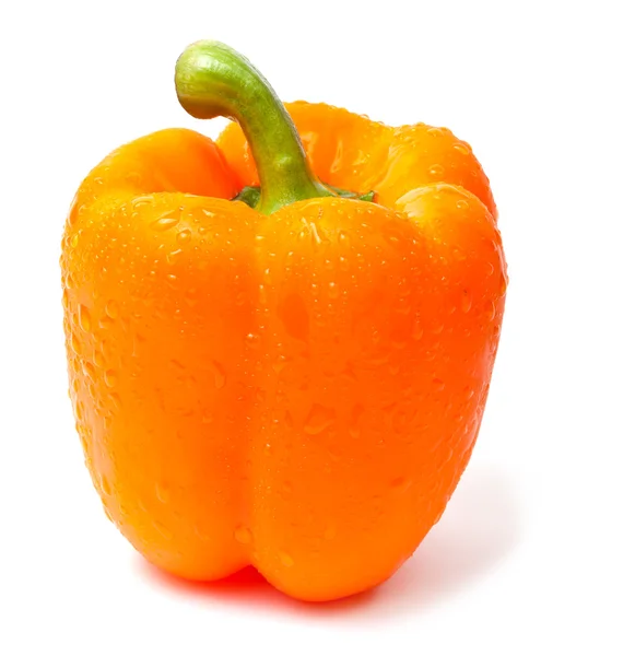 Peperoncino d'arancia singolo su fondo bianco — Foto Stock