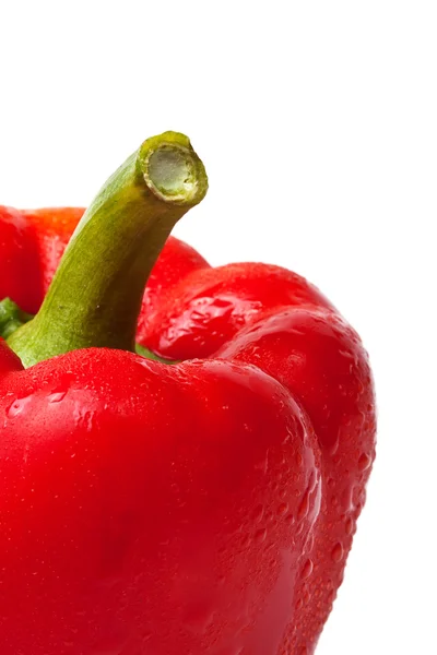 Paprika mit Wassertropfen Nahaufnahme — Stockfoto