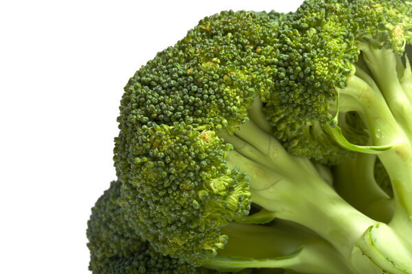 Broccoli cabbage closeup on white background isolated