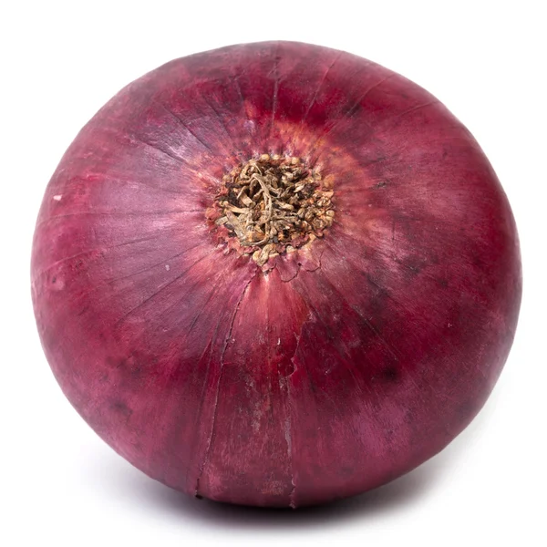 Rote Zwiebel auf weißem Hintergrund isoliert — Stockfoto