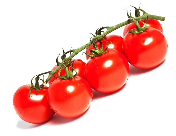 Červené cherry rajčat větev — Stock fotografie