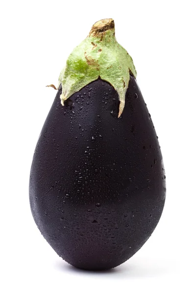 Één aubergine op witte achtergrond met schaduw Stockfoto