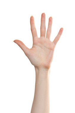 Woman palm number five clipart