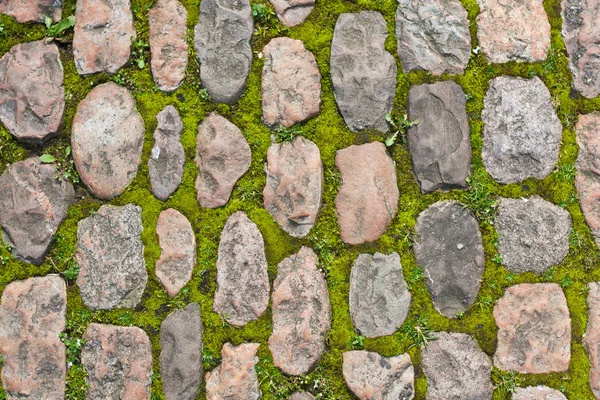 Pavimento de pedra com musgo — Fotografia de Stock