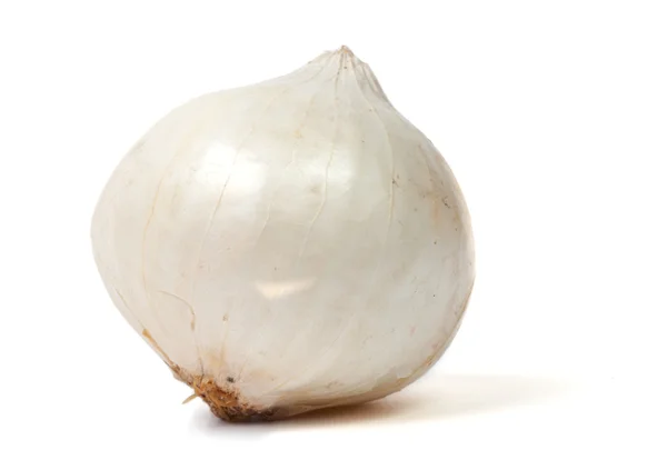 Cebolla blanca aislada — Foto de Stock