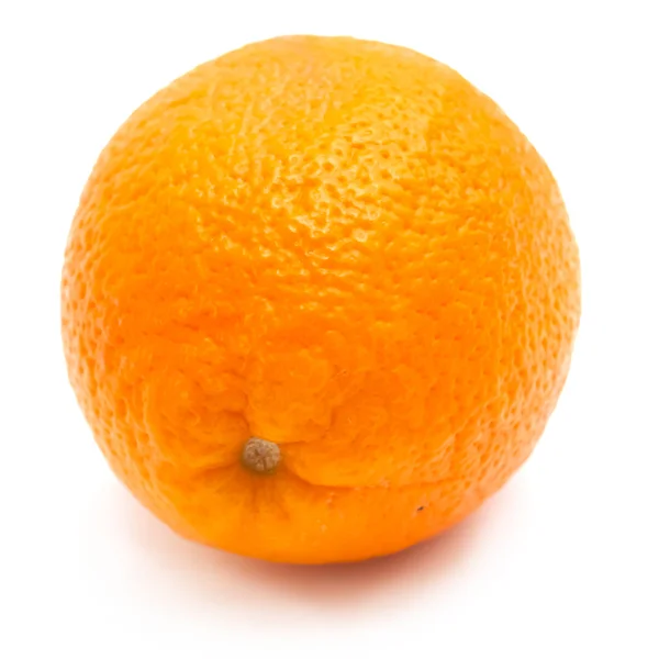Jediný oranžová — Stock fotografie