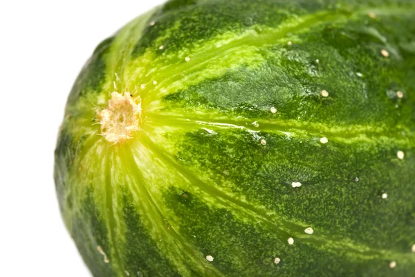 Cucumber closeup — Stock Photo, Image