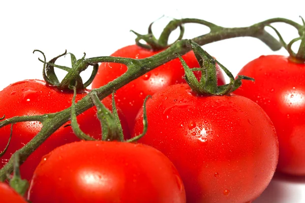 Ντομάτα closeup υποκατάστημα — Φωτογραφία Αρχείου