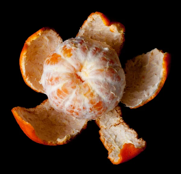 Mandarina descascada única — Fotografia de Stock