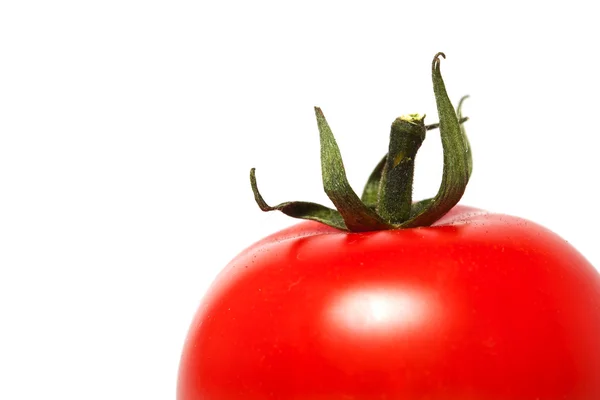 Tek domates portre — Stok fotoğraf
