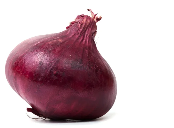 Red onion bulb on white background isolated — Stock Photo, Image