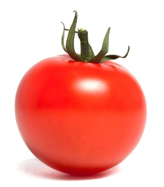 Één tomaat Stockfoto