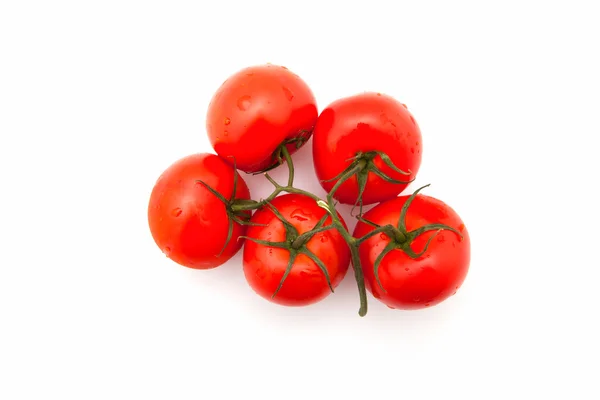 stock image Tomatoes