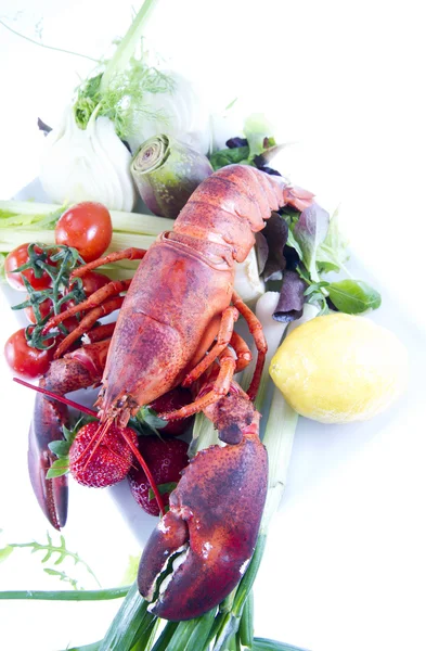 Lobster with vagetables — Stock Photo, Image