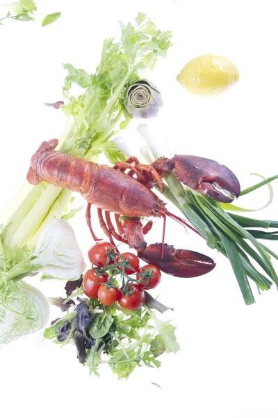 Vagetables ile ıstakoz — Stok fotoğraf