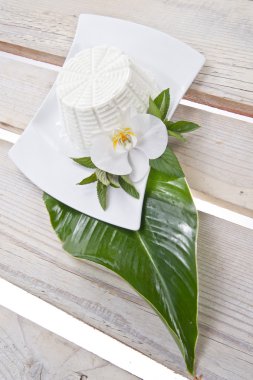 -sütten yapılan ricotta