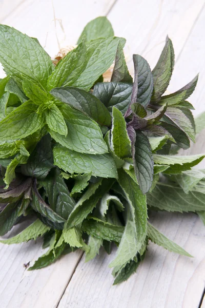 stock image Fresh mint leaves isolated