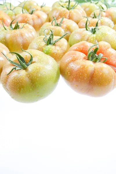Groene tomaten geïsoleerd op wit — Stockfoto
