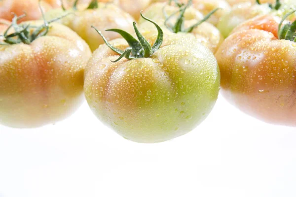 Зелені помідори ізольовані на білому — стокове фото