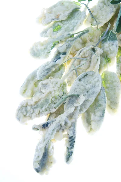 Fried sage — Stock Photo, Image