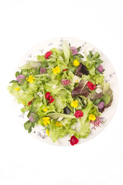 Salada de flores — Fotografia de Stock