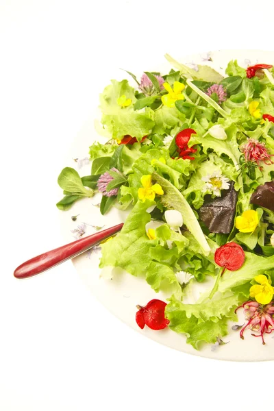 Salad of flowers — Stock Photo, Image
