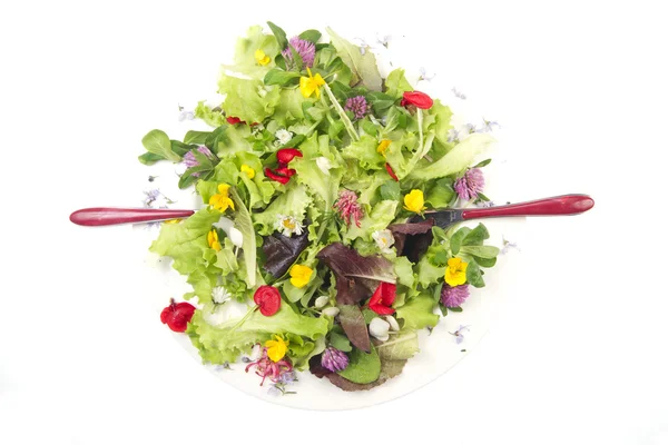 Blütensalat — Stockfoto