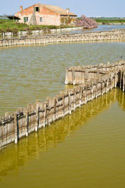 comacchio vadileri