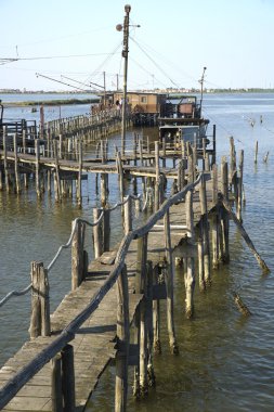 comacchio vadileri