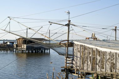 comacchio vadileri