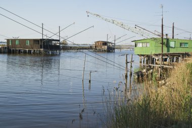 comacchio vadileri