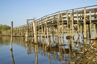 comacchio vadileri