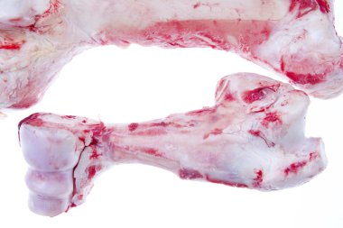 Meat bones clipart