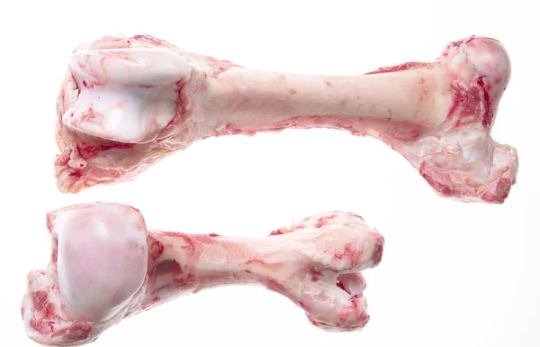 Stock image Meat bones