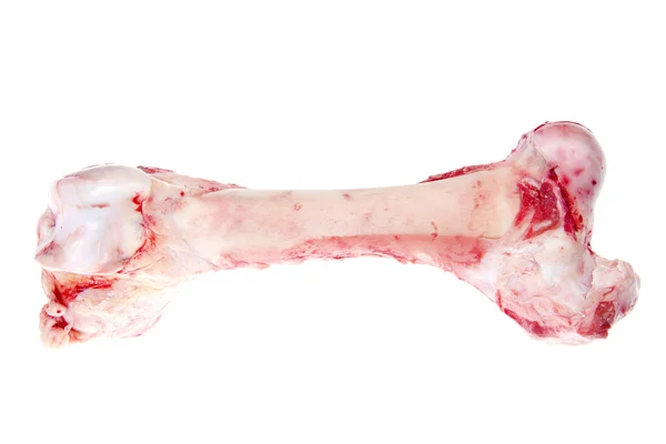 고기 뼈 — 스톡 사진