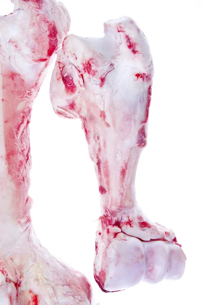 Hús-csont — Stock Fotó